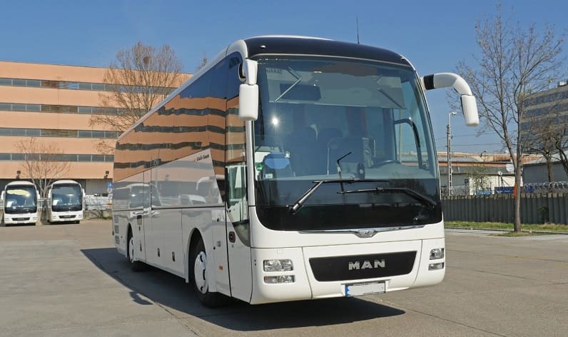 Saxony-Anhalt: Buses operator in Quedlinburg in Quedlinburg and Germany